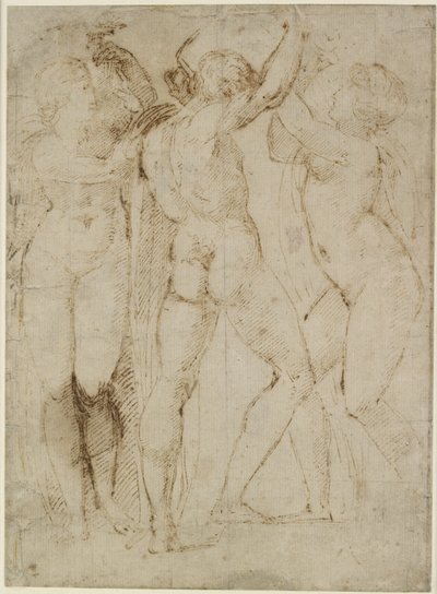 Gruppe von Weinlesern, WA1846.165 von Raffaello Sanzio Raphael